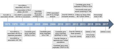 Leveraging Genetic Findings for Precision Medicine in Vasculitis